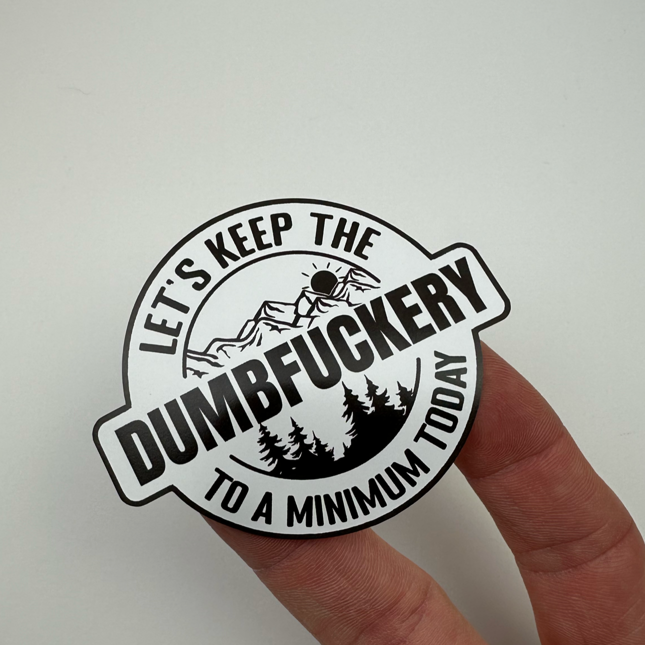 Let's Keep The DumbFuckery To A Minimum Today Vinyl Decal