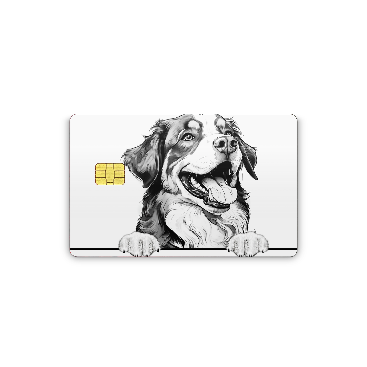 Credit Card Vinyl Skins Bernese Mountain Dog
