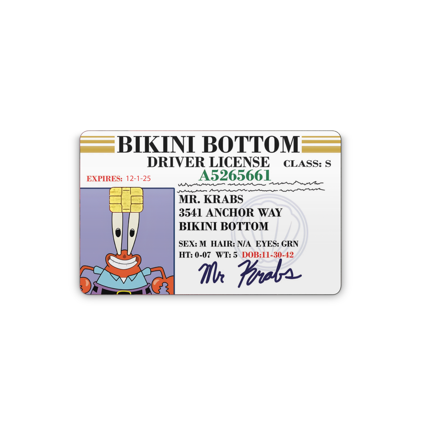 Credit Card Vinyl Skins Bikini Bottom