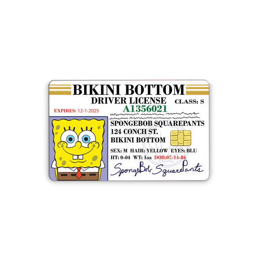 Credit Card Vinyl Skins Bikini Bottom